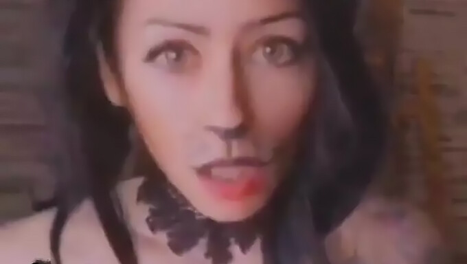 Big Tits And A Tattooed Cat Collide In This Homemade Video